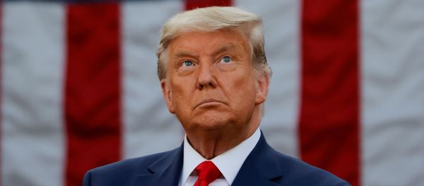 US President Donald Trump pauses as he speaks about the Operation Warp Speed programme, the joint Defense Department and HHS initiative that has struck deals with several drugmakers in an effort to help speed up the search for effective treatments for the ongoing coronavirus disease (COVID-19) pandemic, during an event in the Rose Garden of the White House in Washington, US, 13 November 2020. REUTERS/Carlos Barria - Sputnik International