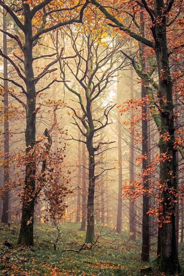 The International Landscape Photographer of the Year Selects Best Photos of 2020 The International Landscape Photographer of the Year Selects Best Photos of 2020 - Sputnik International
