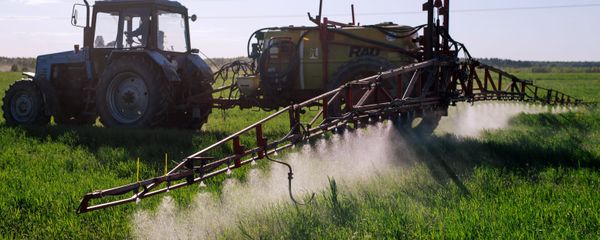 A tractor fertilizers winter cereals at a collective farm in the Teikovsky district of the Ivanovo region - Sputnik International