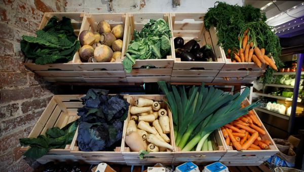 UK food from a farmers market - Sputnik International