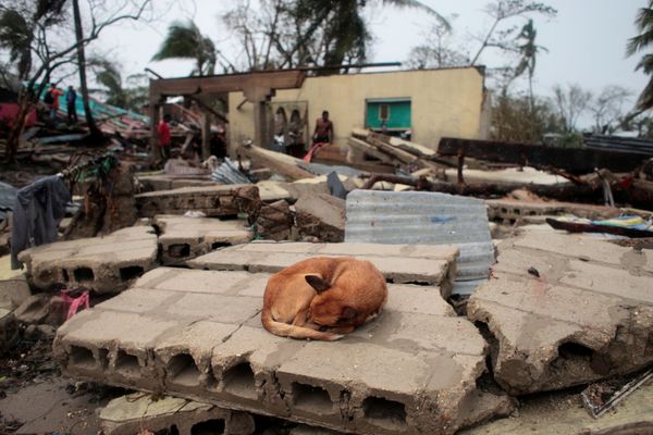 Videos: Hurricane Iota Leaves Path of Destruction in Central America, Kills at Least 11 - Sputnik International