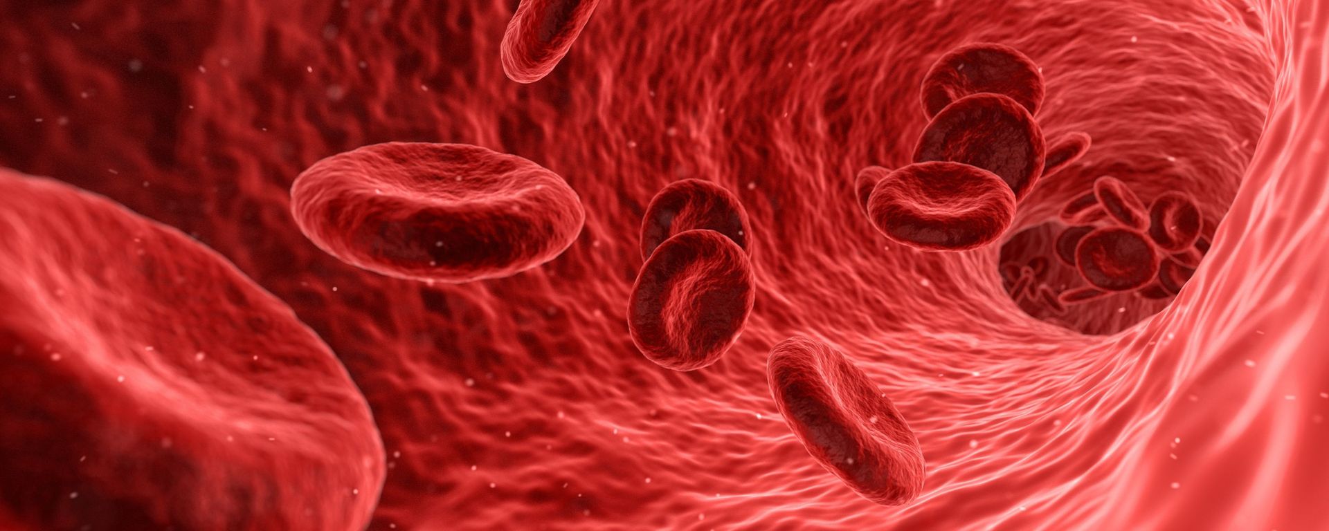 Blood vessel - Sputnik International, 1920, 10.06.2025