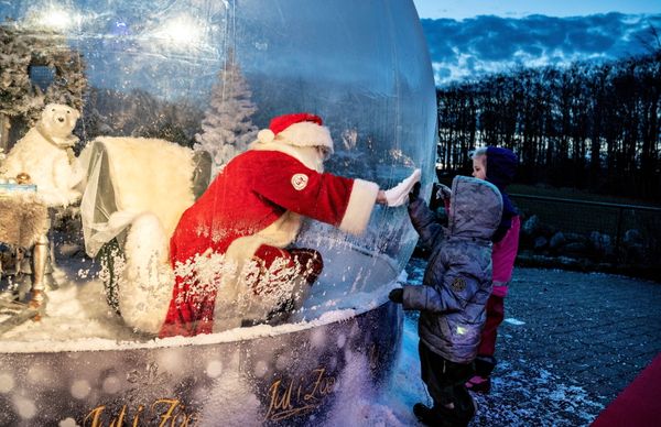 This Week in Pictures: 14 - 20 November This Week in Pictures: 14 - 20 November - Sputnik International