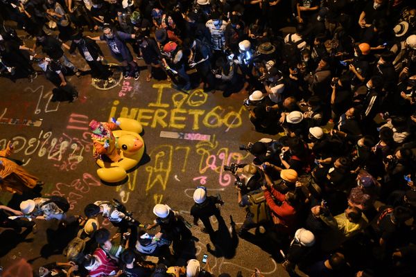 This Week in Pictures: 14 - 20 November This Week in Pictures: 14 - 20 November - Sputnik International