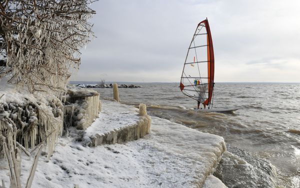 This Week in Pictures: 14 - 20 November This Week in Pictures: 14 - 20 November - Sputnik International