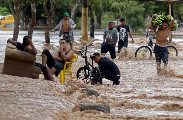 This Week in Pictures: 14 - 20 November This Week in Pictures: 14 - 20 November - Sputnik International