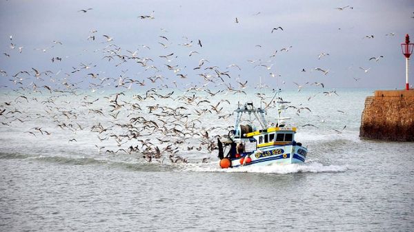 Fishing Boat - Sputnik International