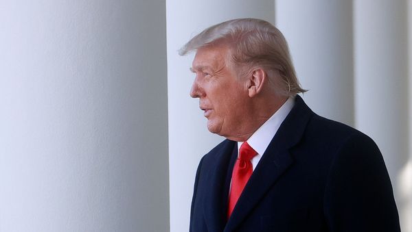 U.S. President Trump hosts presentation of 73rd National Thanksgiving Turkey at the White House U.S. President Trump hosts presentation of 73rd National Thanksgiving Turkey at the White House - Sputnik International