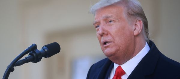 U.S. President Donald Trump speaks during the presentation (and pardoning) of the 73rd National Thanksgiving Turkey in the Rose Garden at the White House in Washington, U.S., November 24, 2020 - Sputnik International
