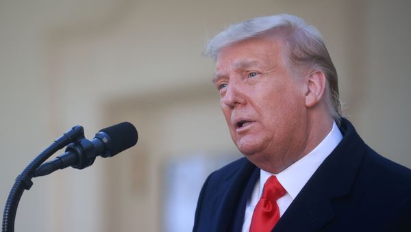 U.S. President Donald Trump speaks during the presentation (and pardoning) of the 73rd National Thanksgiving Turkey in the Rose Garden at the White House in Washington, U.S., November 24, 2020 - Sputnik International