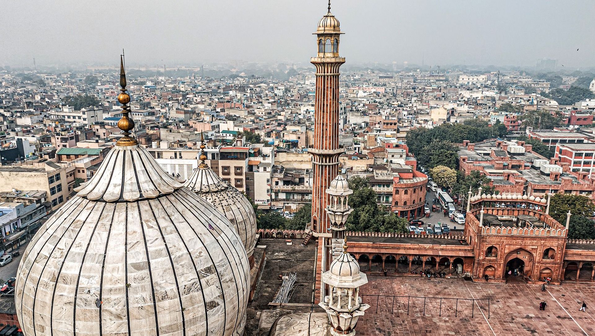 Delhi Delhi - Sputnik International, 1920, 16.06.2021