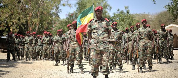 Members of the Ethiopian National Defense Forces Members of the Ethiopian National Defense Forces - Sputnik International