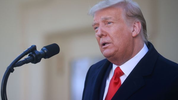U.S. President Donald Trump speaks during the presentation (and pardoning) of the 73rd National Thanksgiving Turkey in the Rose Garden at the White House in Washington, U.S., November 24, 2020. - Sputnik International