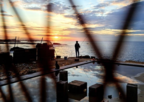 This Week in Pictures: 21 - 27 November - Sputnik International