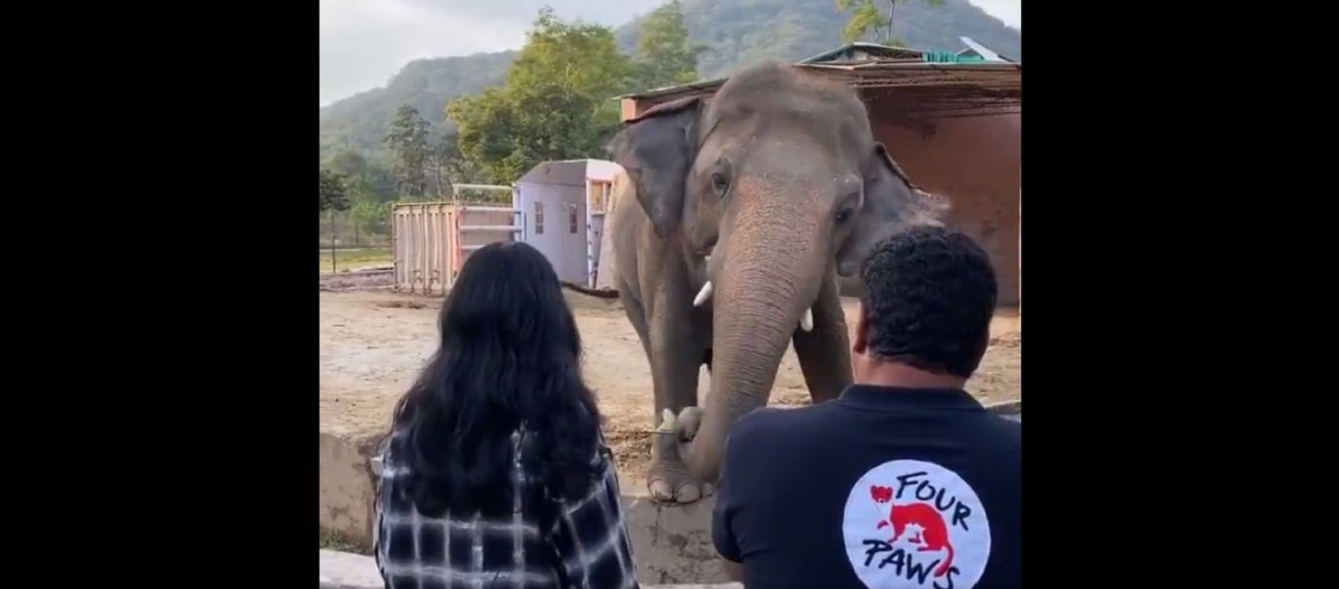 If your heart doesn’t melt seeing Cher singing to Kaavan If your heart doesn’t melt seeing Cher singing to Kaavan - Sputnik International, 1920, 30.11.2020