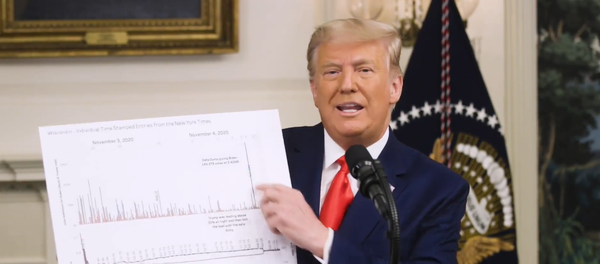 Screenshot from the video statement by US President Donald Trump regarding alleged voter fraud during the US presidential election - Sputnik International