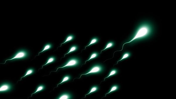 Sperm - Sputnik International