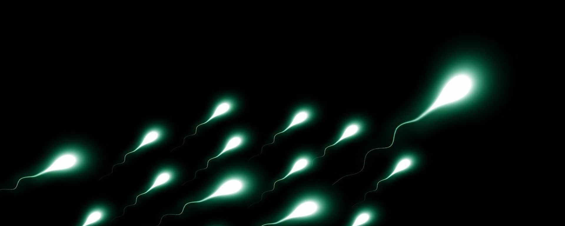 Sperm - Sputnik International, 1920, 26.02.2021