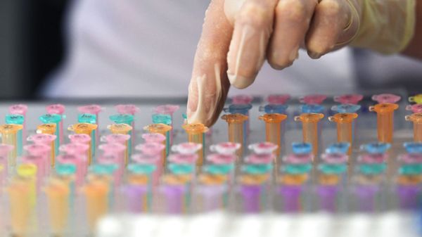 Researcher checking glass tubes - Sputnik International
