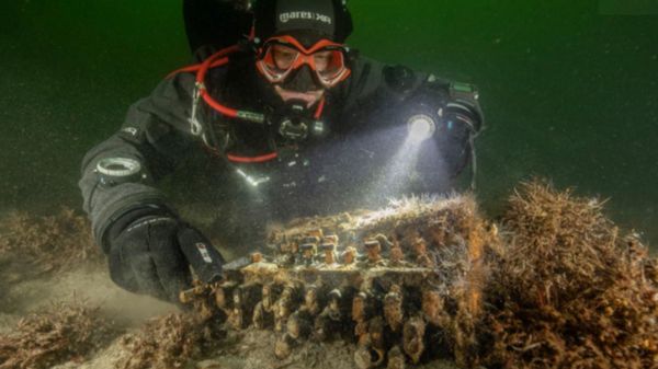 Photos: Divers in Baltic Sea Discover Rare WWII Nazi Enigma Machine Photos: Divers in Baltic Sea Discover Rare WWII Nazi Enigma Machine - Sputnik International