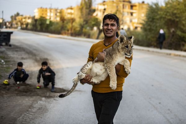 This Week in Pictures: 28 November - 4 December - Sputnik International