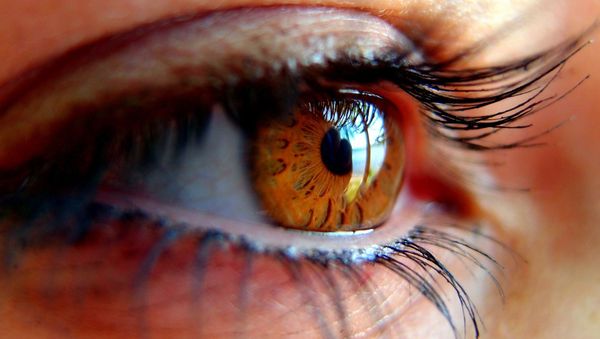 Eye Eye - Sputnik International