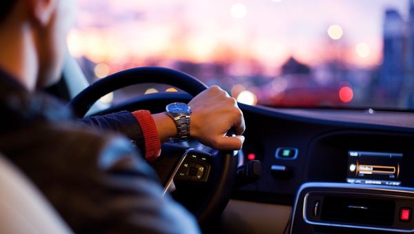 A driver behind the wheel - Sputnik International