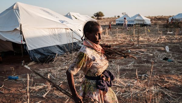 An Ethiopian refugee who fled Ethiopia's Tigray conflict carries collected branches at Um Raquba refugee camp in Gedaref, eastern Sudan, on December 7, 2020. - Sputnik International