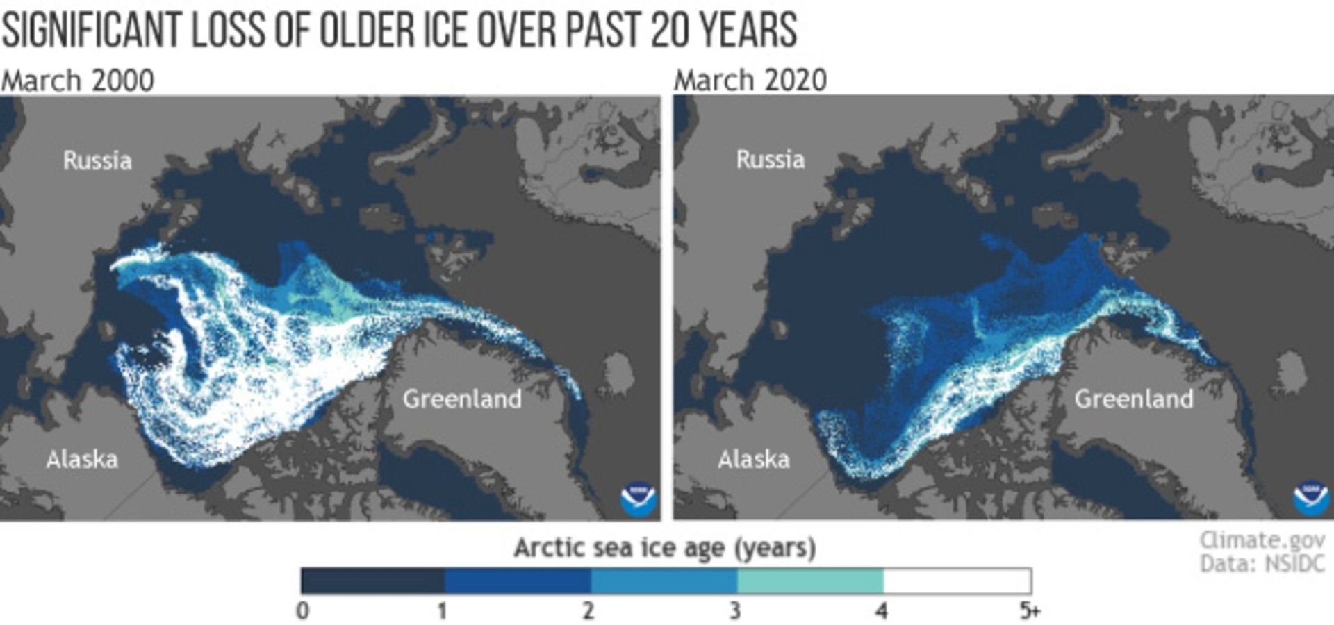 US Coast Guard Considering Arctic ‘FONOPS’ to Counter Russian Presence at North Pole US Coast Guard Considering Arctic ‘FONOPS’ to Counter Russian Presence at North Pole - Sputnik International, 1920, 29.06.2021