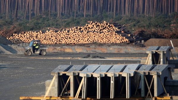 A view of the Tesla Gigafactory construction site in Gruenheide near Berlin, Germany, December 8, 2020. - Sputnik International