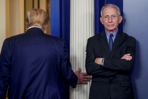 COVID-19, Border Wall & Economic Stall: How Have Trump's Domestic Politics Fared in His Four Years? COVID-19, Border Wall & Economic Stall: How Have Trump's Domestic Politics Fared in His Four Years? - Sputnik International