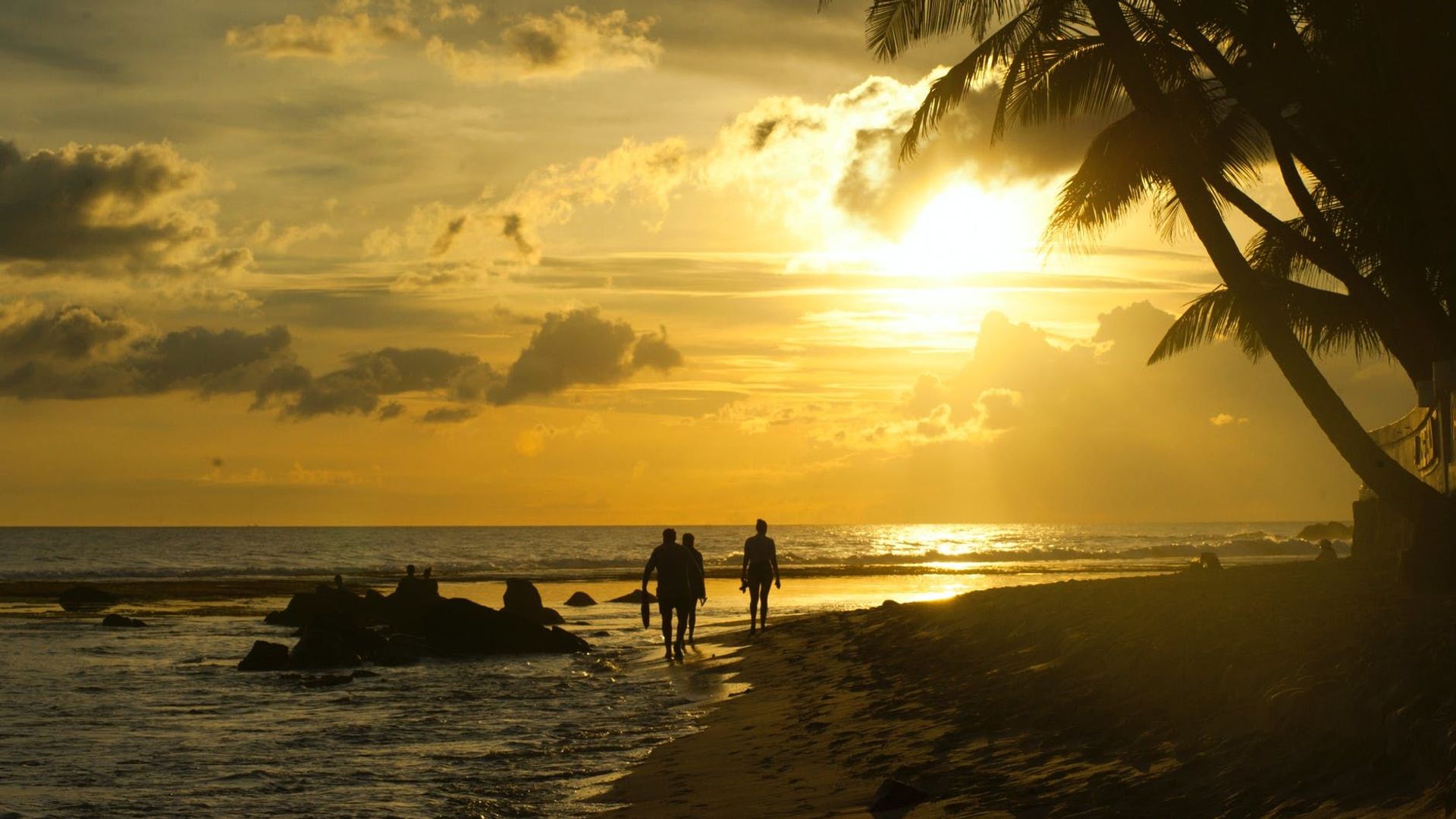 Beach sunset. Beach sunset. - Sputnik International, 1920, 11.05.2021
