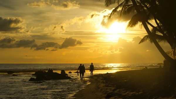 Beach sunset - Sputnik International