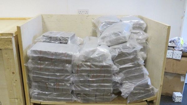 Some of the cannabis resin which was seized from Matthew Harrod's gang - Sputnik International