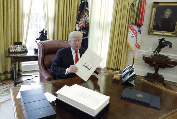 COVID-19, Border Wall & Economic Stall: How Have Trump's Domestic Politics Fared in His Four Years? COVID-19, Border Wall & Economic Stall: How Have Trump's Domestic Politics Fared in His Four Years? - Sputnik International