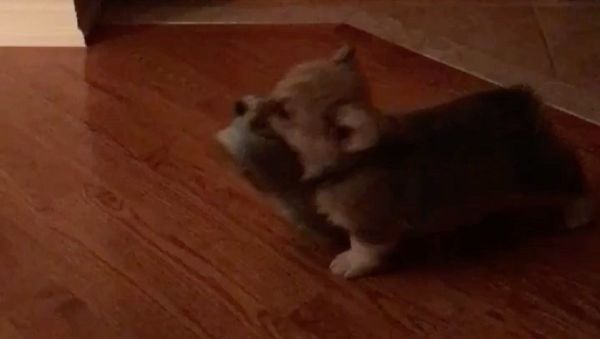 Mama look how tiny I was ! - Sputnik International