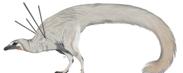 A life reconstruction of Ubiraja jubatus depicted by an artist - Sputnik International