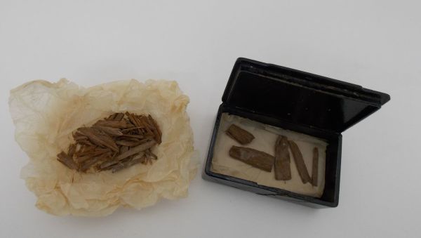 Fragments of cedar wood, recovered from inside the pyramid at Giza, that were discovered in a cigar tin at the University of Aberdeen - Sputnik International