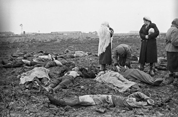 Russian Investigators Resume Probe Into Nazi Death Squad's WWII Atrocities After 48-Year Suspension Russian Investigators Resume Probe Into Nazi Death Squad's WWII Atrocities After 48-Year Suspension - Sputnik International