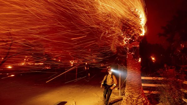 Natural Disasters That Shook the World in 2020  - Sputnik International