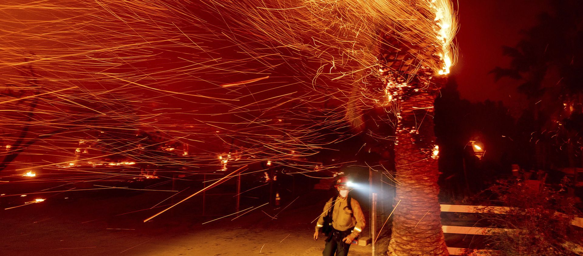 Natural Disasters That Shook the World in 2020 Natural Disasters That Shook the World in 2020 - Sputnik International, 1920, 24.08.2021