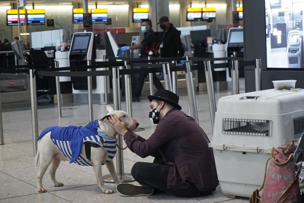 Flights Cancelled, Borders Closed, Christmas Ruined: 'Mutant' COVID Strain Sows Chaos in UK Flights Cancelled, Borders Closed, Christmas Ruined: 'Mutant' COVID Strain Sows Chaos in UK - Sputnik International