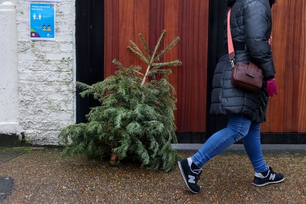 Flights Cancelled, Borders Closed, Christmas Ruined: 'Mutant' COVID Strain Sows Chaos in UK Flights Cancelled, Borders Closed, Christmas Ruined: 'Mutant' COVID Strain Sows Chaos in UK - Sputnik International