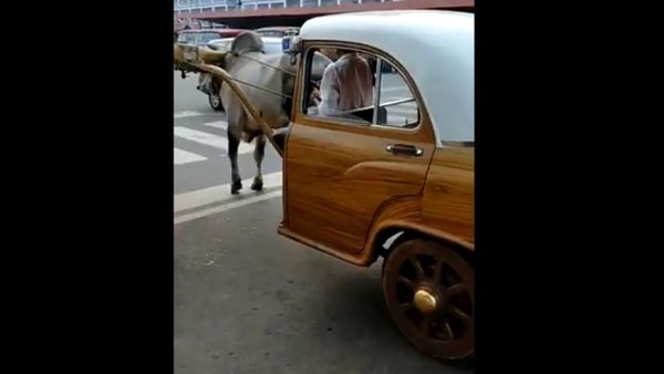 ‘Don’t Think Elon Musk & Tesla Can Match It’: Anand Mahindra’s Post on Bullock Car Goes Viral - Sputnik International