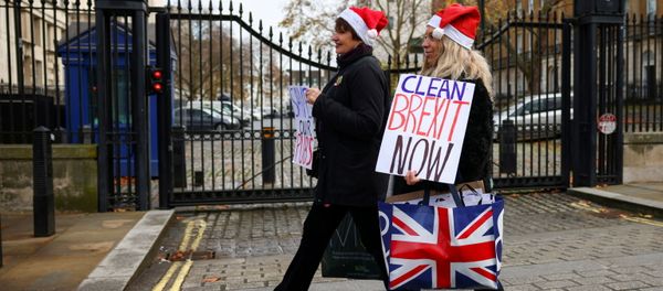 Pro-Brexit supporters carry placards as they walk in Westminster, London, Britain December 9, 2020 Pro-Brexit supporters carry placards as they walk in Westminster, London, Britain December 9, 2020 - Sputnik International