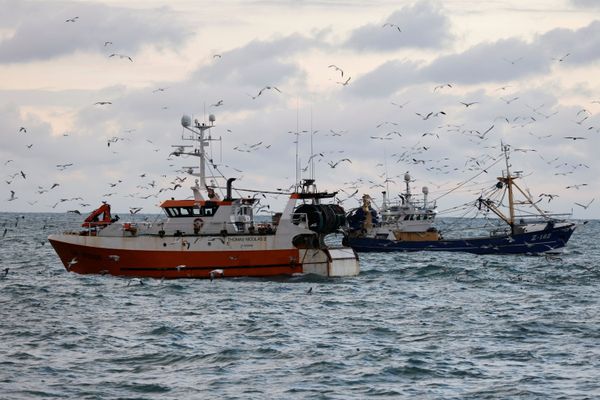 We Fish You a Merry Christmas: UK-EU Brexit Trade Deal is Done We Fish You a Merry Christmas: UK-EU Brexit Trade Deal is Done - Sputnik International