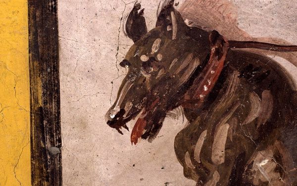 A fresco on an ancient counter depicting a dog on a leash that was uncovered during excavations in Pompeii, Italy, is seen in this handout picture released December 26, 2020. A fresco on an ancient counter depicting a dog on a leash that was uncovered during excavations in Pompeii, Italy, is seen in this handout picture released December 26, 2020. - Sputnik International