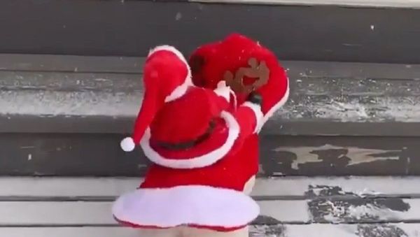 Santa Claus Is Coming to Town! - Sputnik International