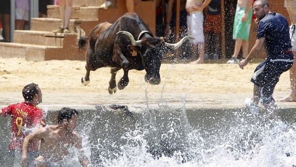 Bull in Human Culture Across the Globe  - Sputnik International