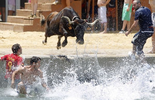 Bull in Human Culture Across the Globe  - Sputnik International